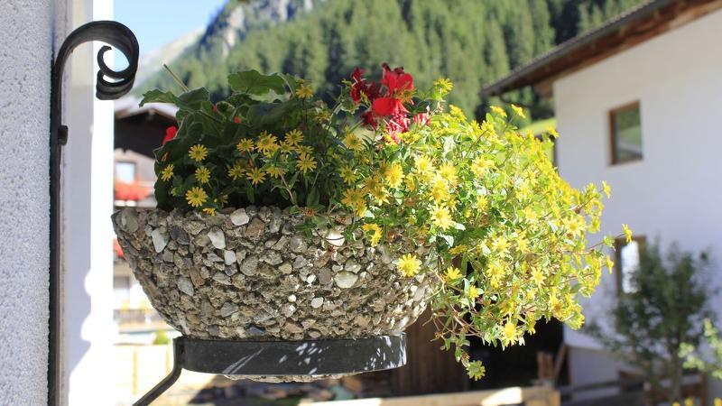 Blick zum Wasserfall St. Leonhard im Pitztal Exterior foto